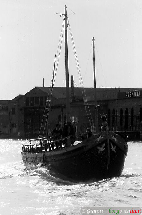 01.2026: Gianni - murano (ve)