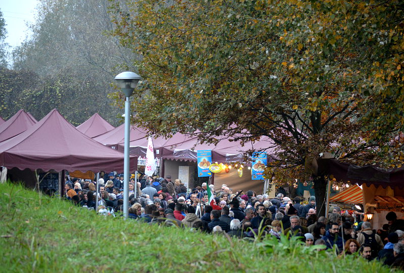 11.2015: Gianni - polesine parmense (pr)