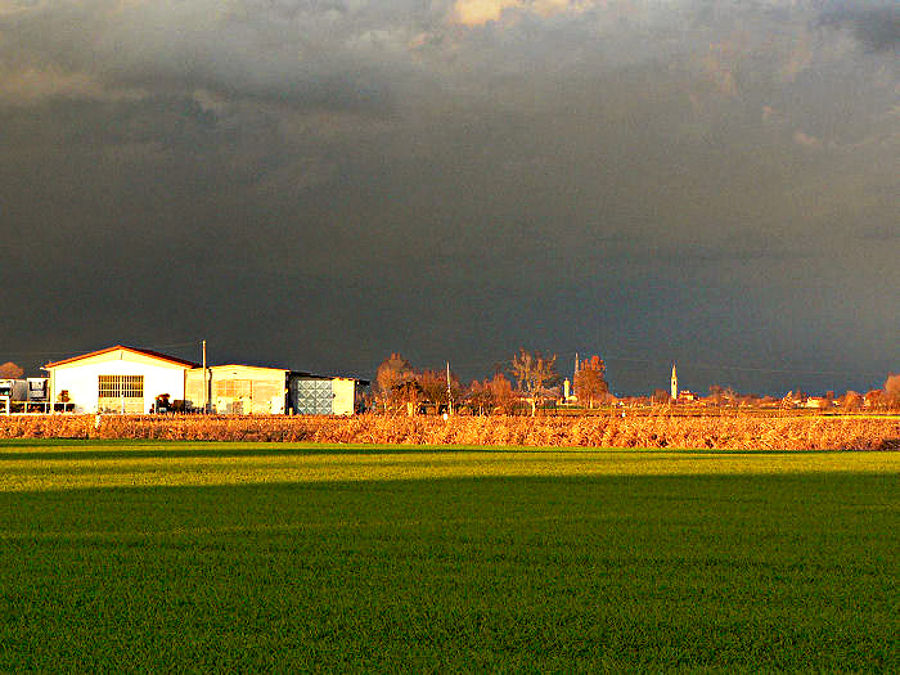 04.2013: Gianni - pianura padana