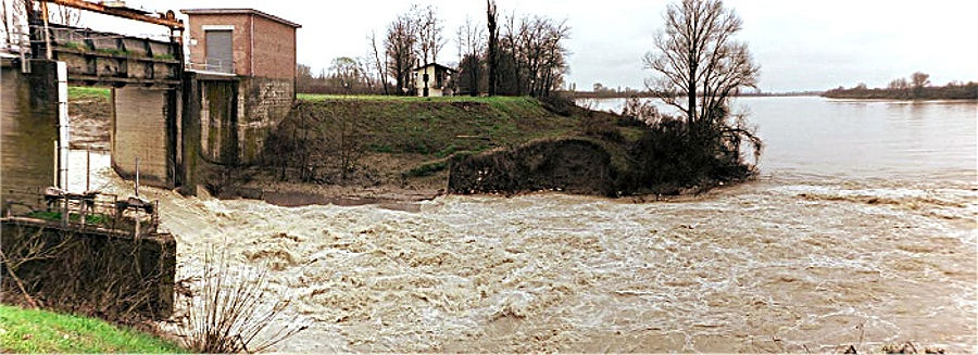 04.2013: Gianni - polesine parmense (pr)