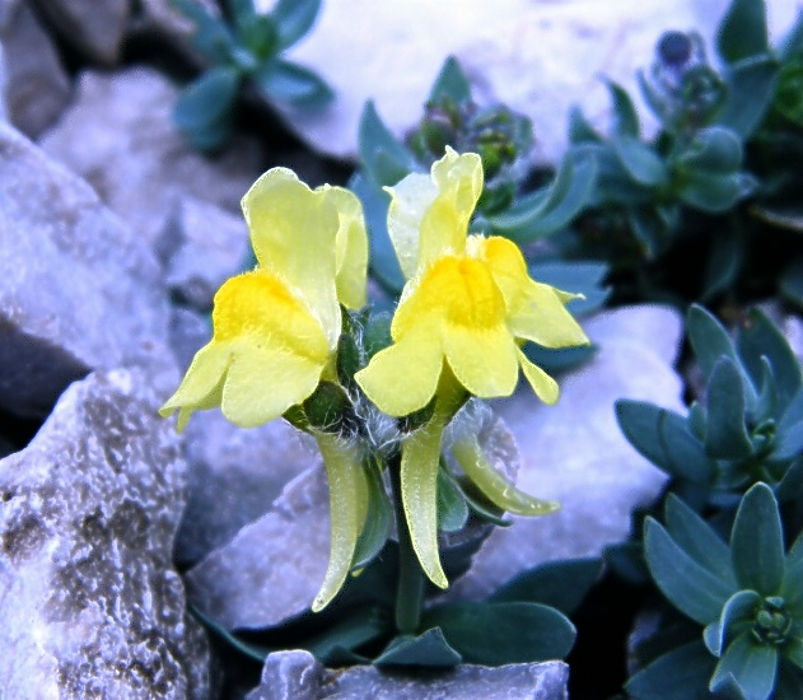 05.2012: Juri Belotti - monte arera (bg)