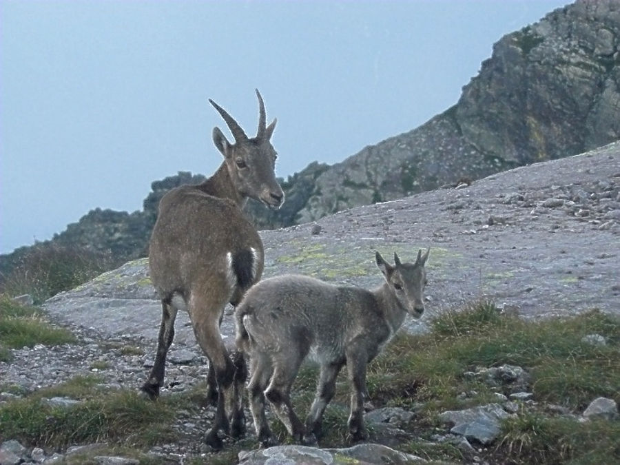 05.2012: Chiara Crotti - maslana (bg)