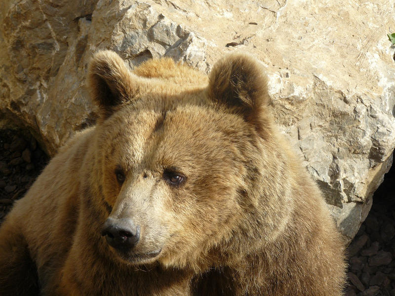 07.2013: Promoserio - parco delle orobie bergamasche