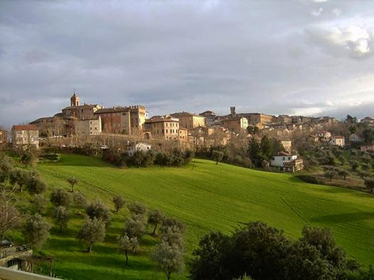 08.2014: Ottilia Palmieri - ostra (an)