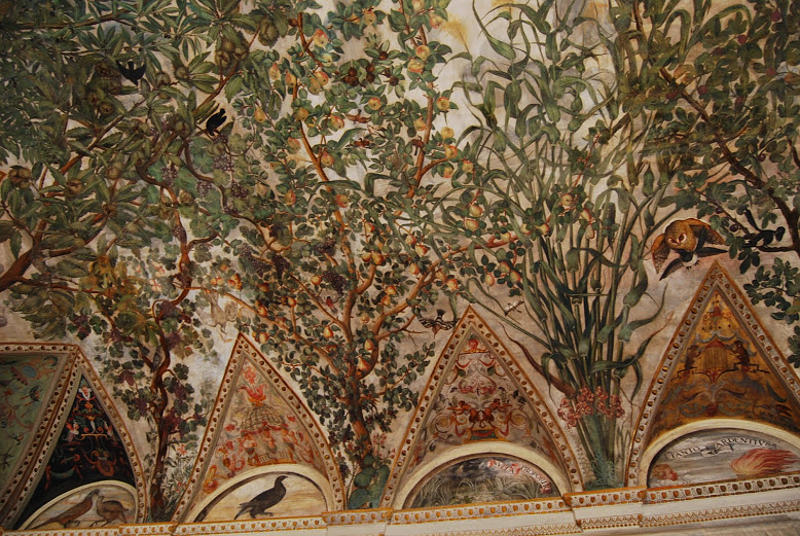 07.2014: Nadia Bellotto - venezia (ve)