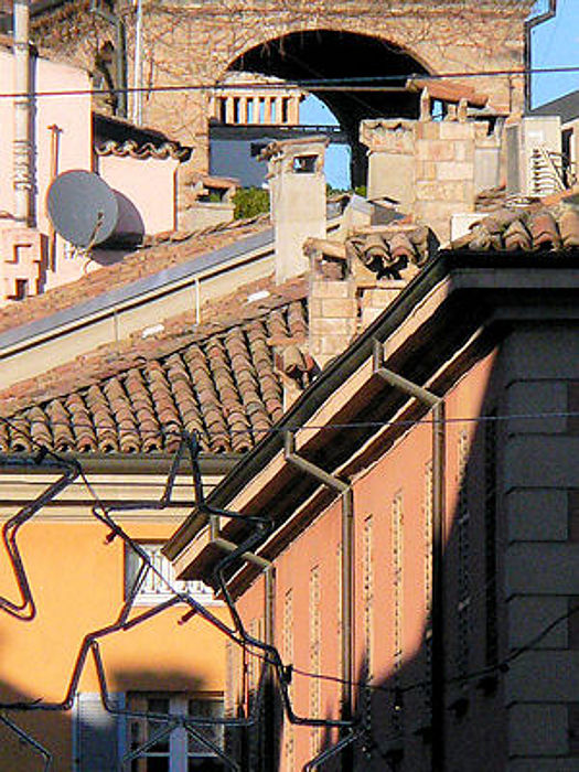 01.2010: Erika C - parma (pr)