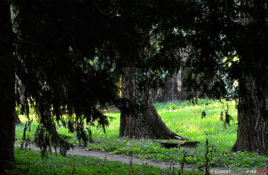 10.2025: Gianni - sant'agata (pc)