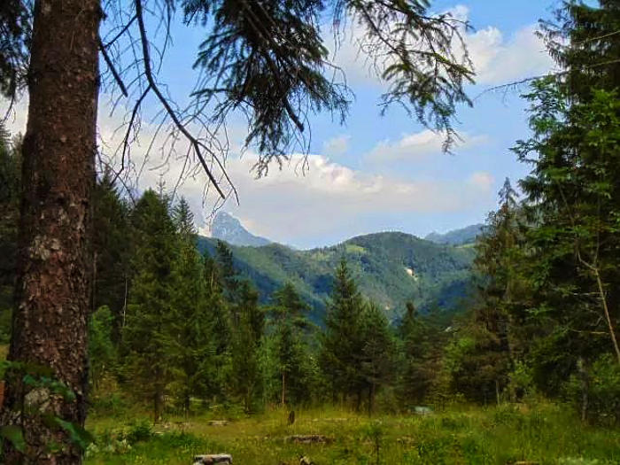 07.2014: Ciro Carrino - tarvisio (ud)