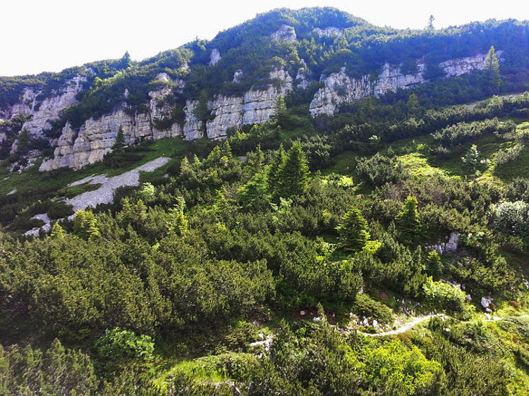 11.2014: Marina Daprelā - trento (tn)