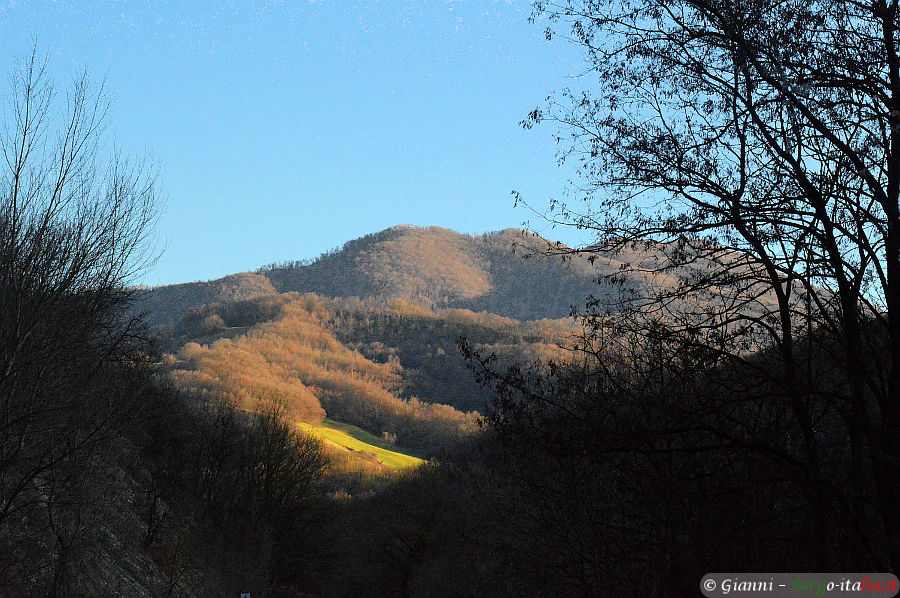 02.2026: Gianni - pellegrino parmense (pr)