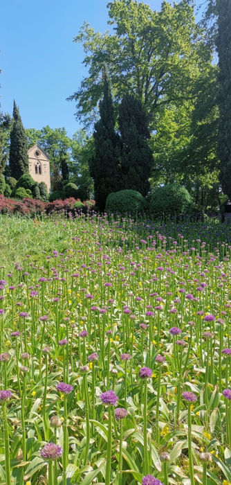 05.2019: Parco Giardino Sigurta - valeggio sul mincio (vr)