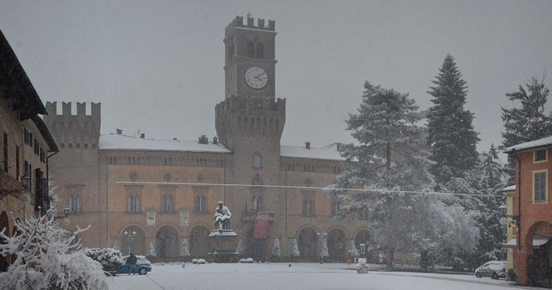 12.2014: Gianni - busseto (pr)