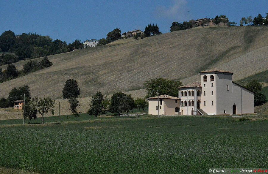 09.2020: Gianni - pieve di cusignano (pr)