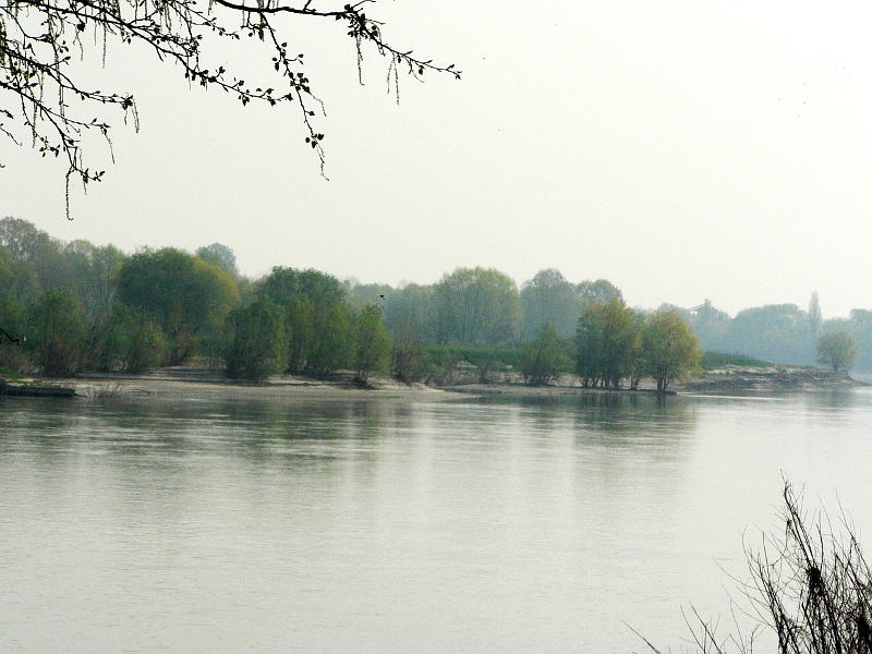 03.2014: Gianni - polesine parmense (pr)