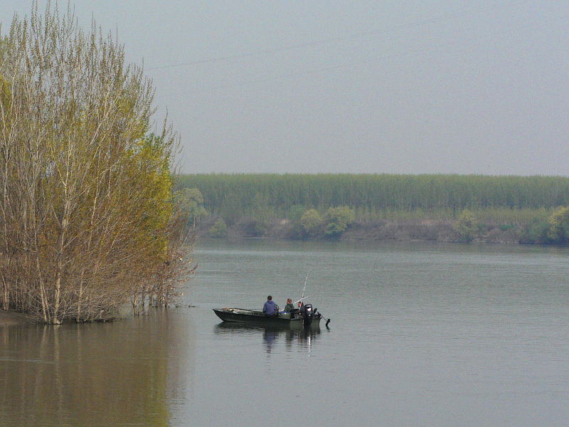 polesine parmense (pr)