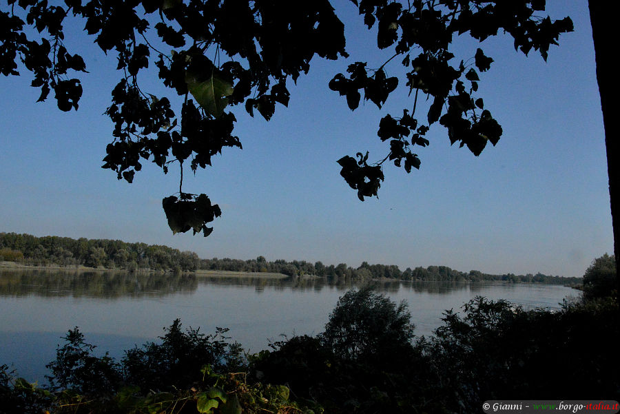 10.2020: Gianni - stagno (pr)