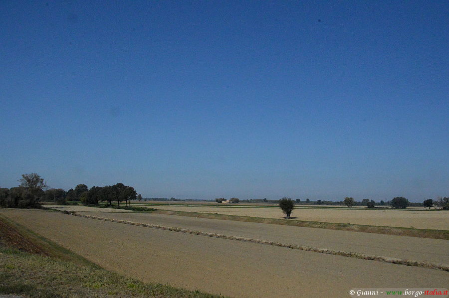 10.2020: Gianni - stagno (pr)