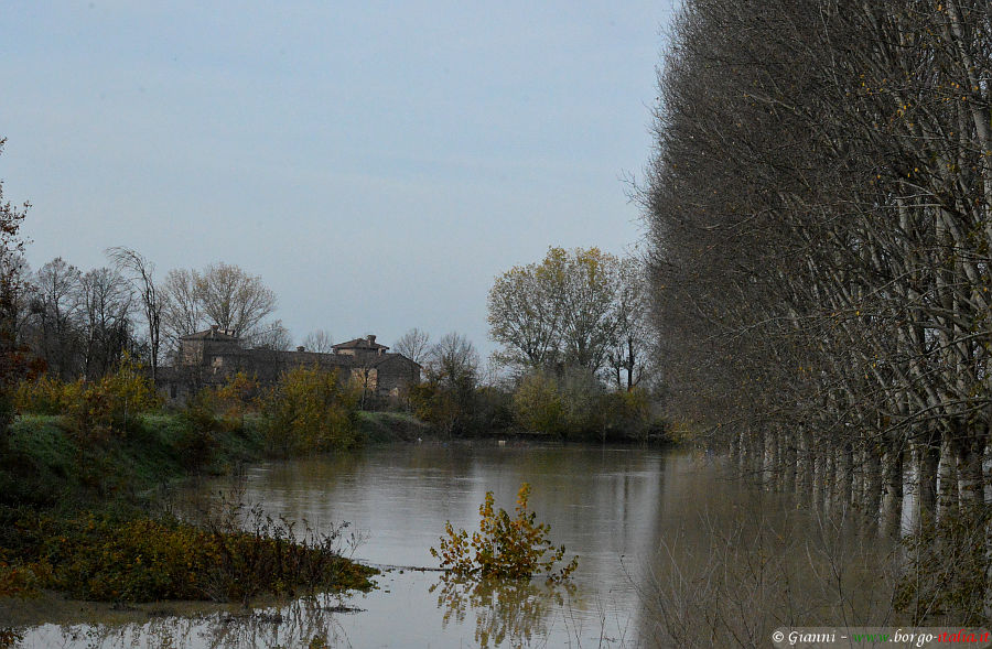 12.2019: Gianni - polesine parmense (pr)