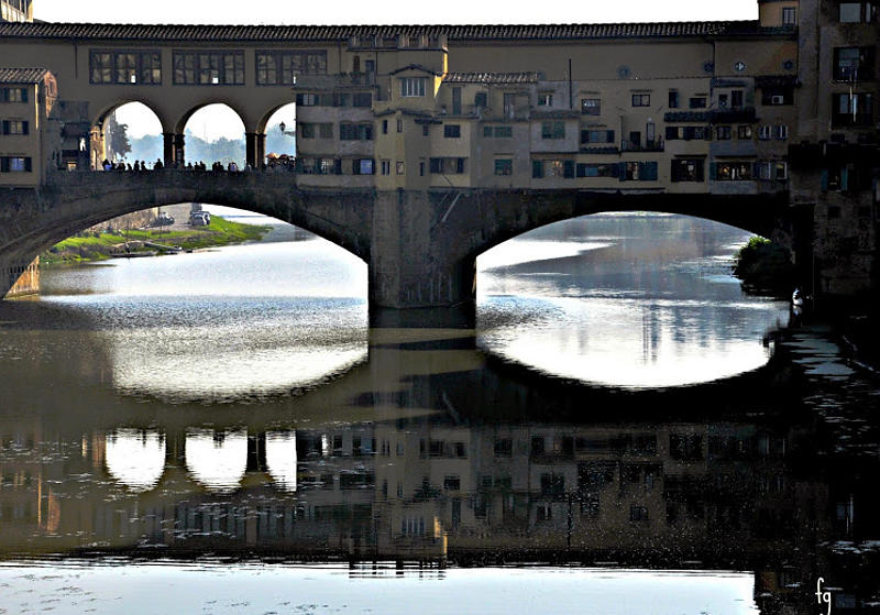 10.2014: Francesca Giona - firenze (fi)