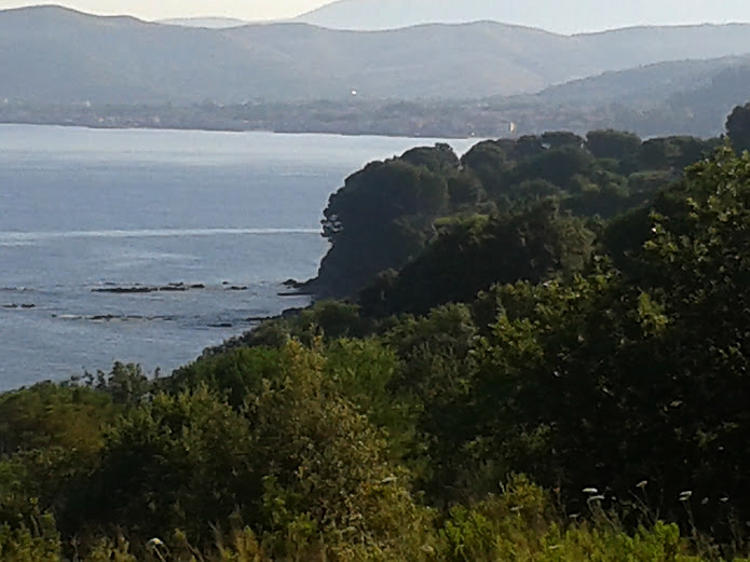 07.2014: Mariagrazia Romano - castellabate (sa)