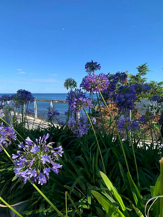09.2021: Marina Daprelā - riva ligure (im)