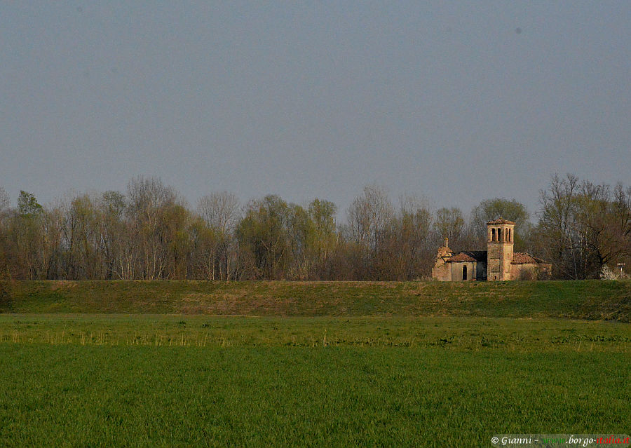 04.2022: Gianni - rigosa di roccabianca (pr)