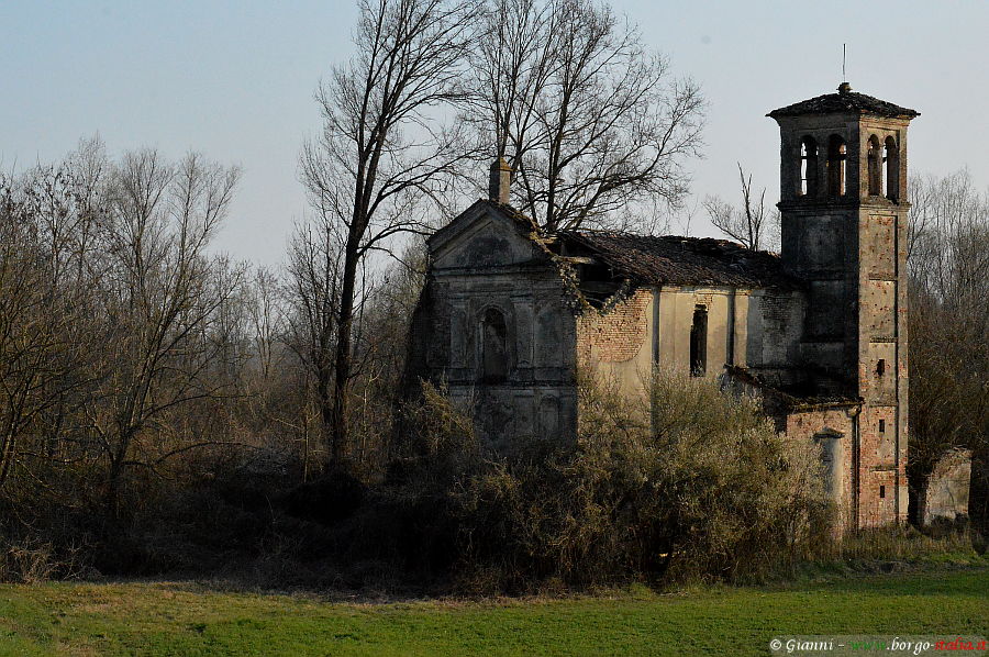 04.2022: Gianni - rigosa di roccabianca (pr)