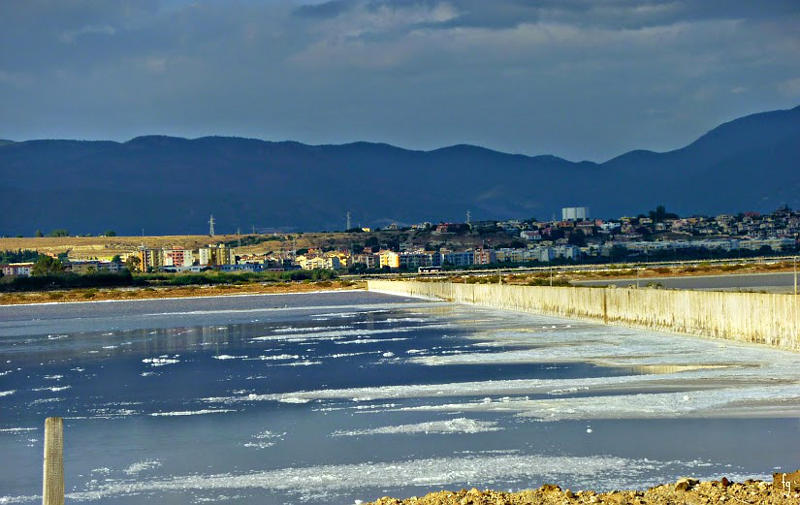 06.2014: Francesca Giona - cagliari (ca)
