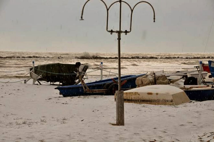 02.2015: Antonella Azzoguidi - san benedetto del tronto (ap)