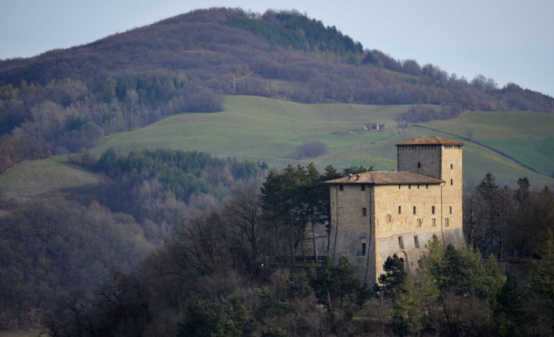 01.2016: Gianni - pellegrino parmense (pr)
