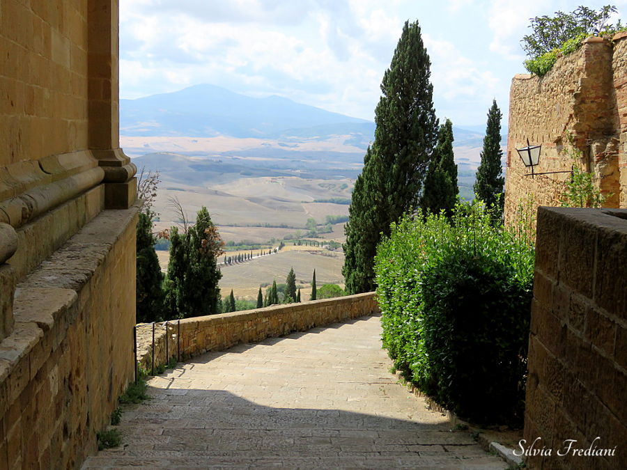 11.2017: Silvia Frediani - san quirico d'orcia (si)
