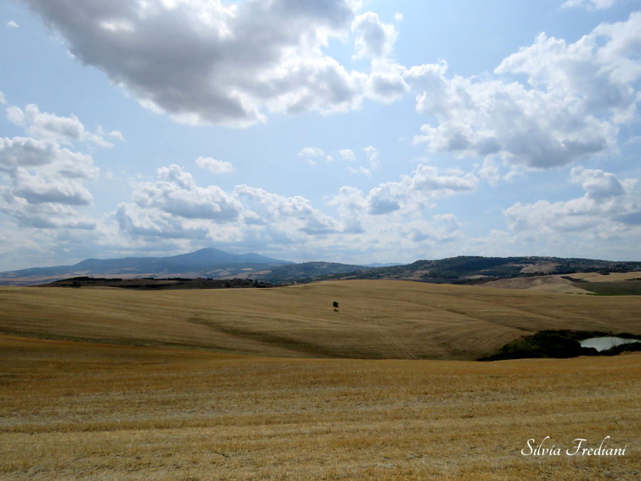 san quirico d