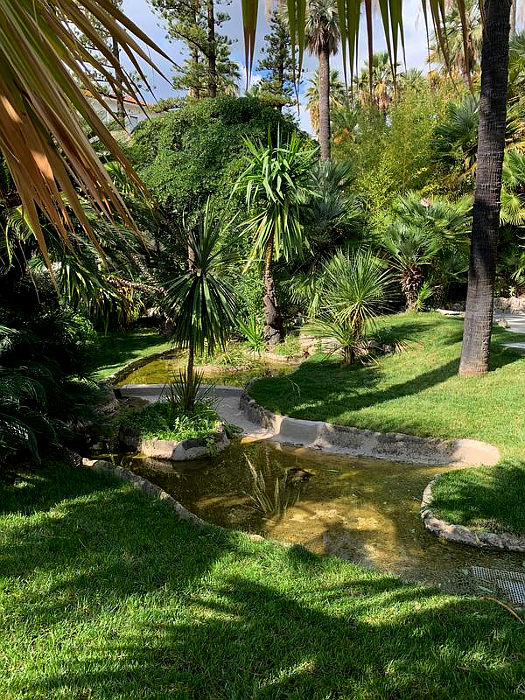 sanremo (im)