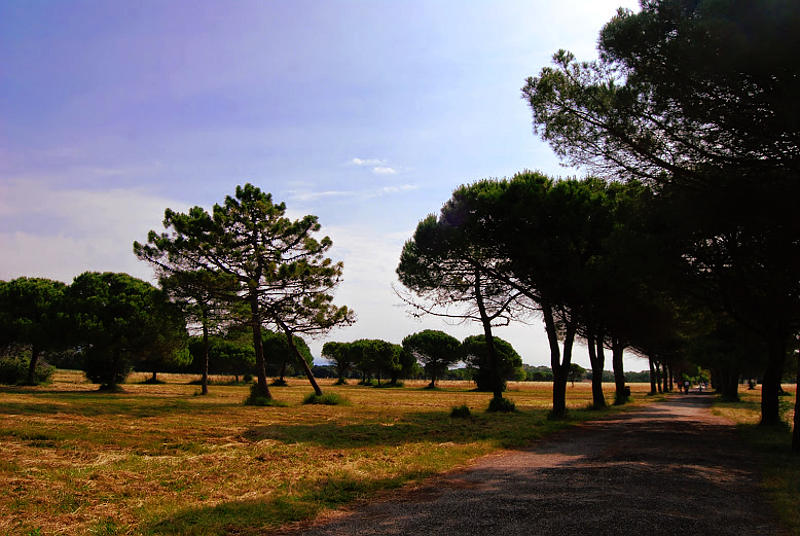 06.2014: Nadia Bellotto - bibione (ve)