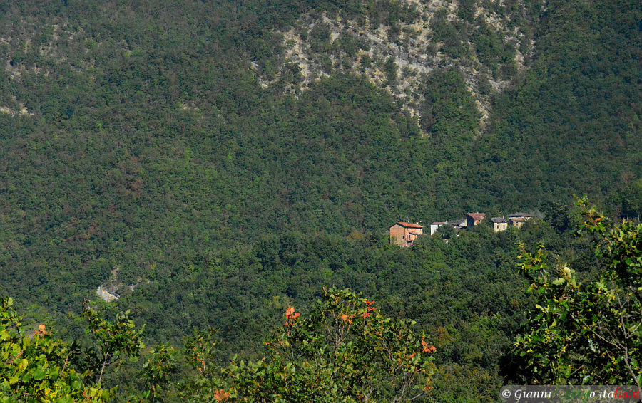 09.2026: Gianni - vernasca (pc)