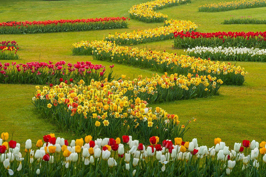 02.2026: Staff Sigurta - valeggio sul mincio (vr)