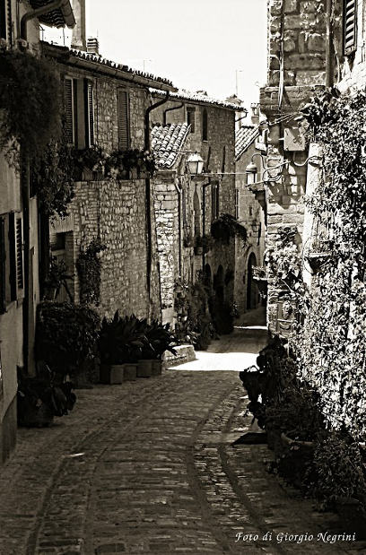 02.2014: Giorgio Negrini - spello (pg)