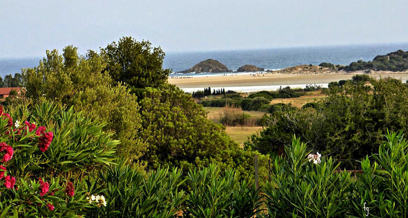 08.2014: Francesca Giona - cagliari (ca)