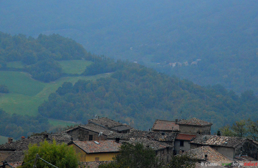 11.2024: Gianni - pellegrino parmense (pr)