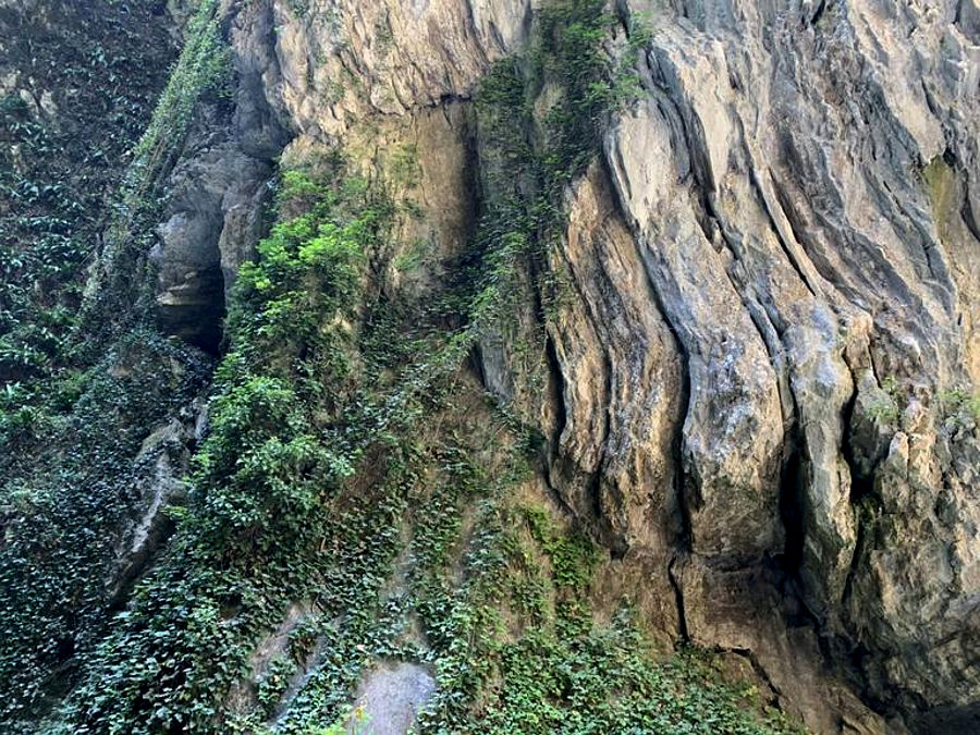 11.2019: Marina Daprelā - tremosine (bs)