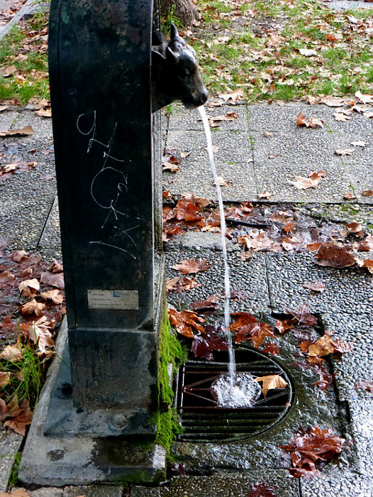 02.2026: Stefania Origlia - torino (to)