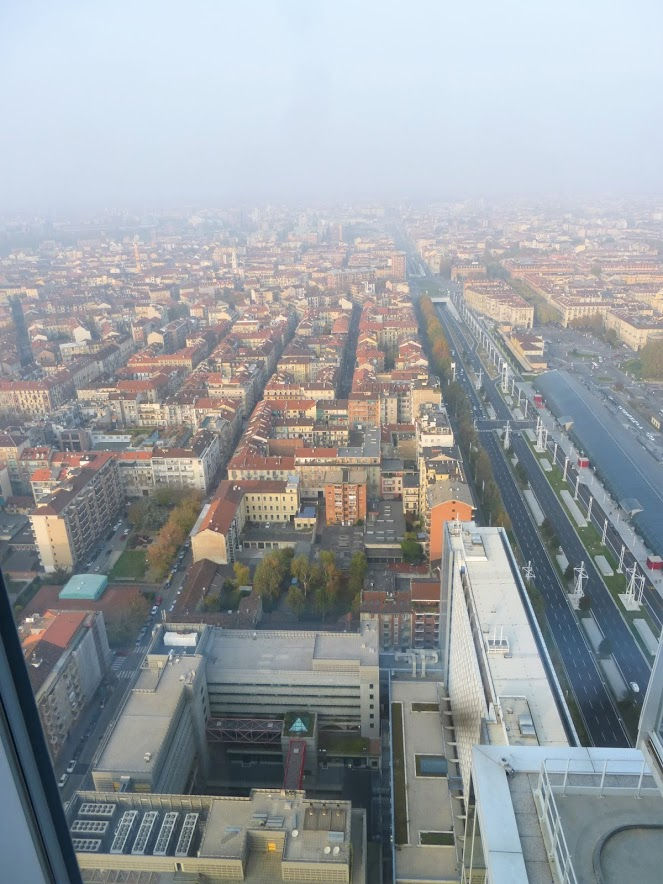 11.2016: Stefania Origlia - torino (to)
