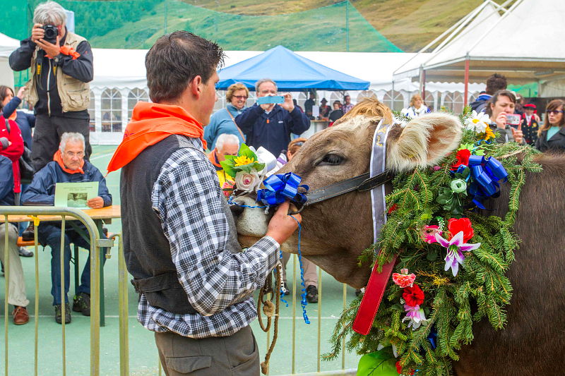 08.2015: G. Meneghello - livigno (so)