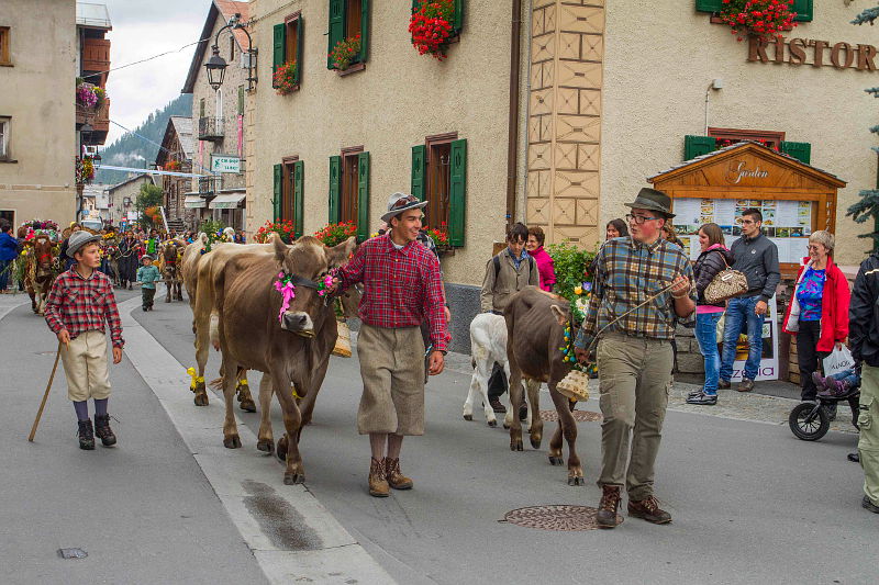 08.2015: G. Meneghello - livigno (so)