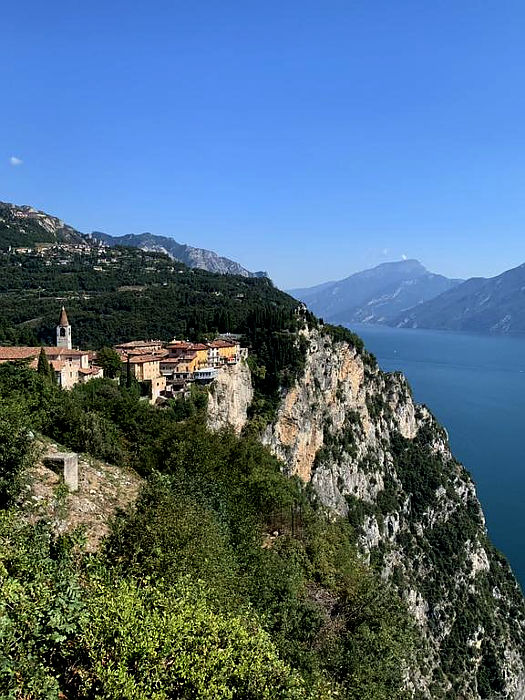 03.2020: Marina Daprelā - tremosine (bs)