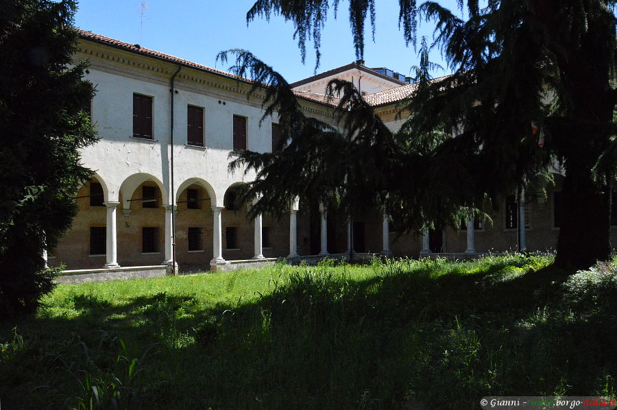 07.2020: Gianni - treviso (tv)