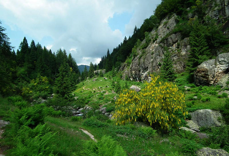 04.2014: Promoserio - valgoglio (bg)