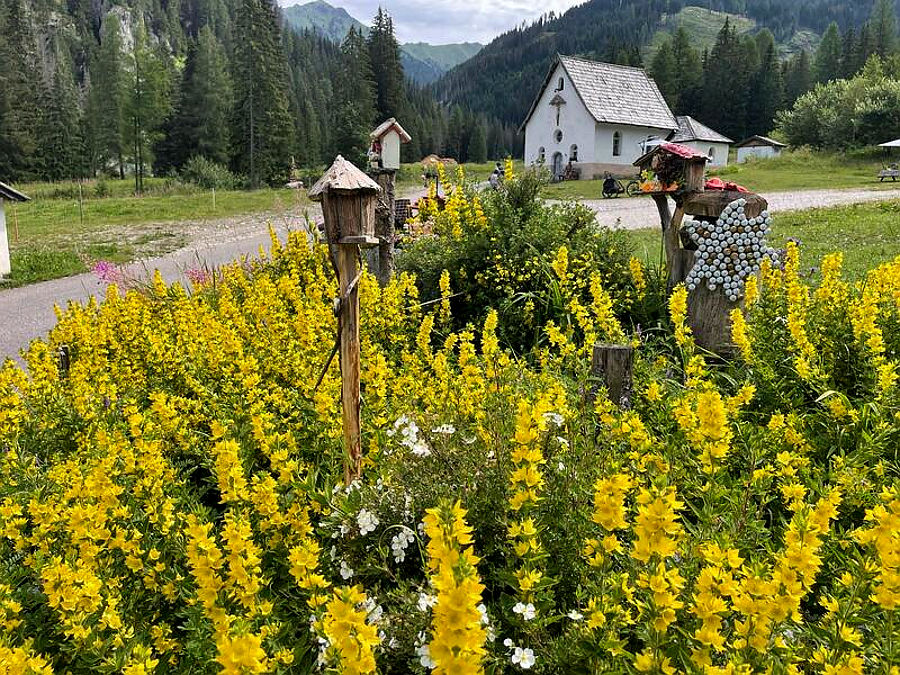08.2026: Marina Daprela - san giovanni di fassa (tn)