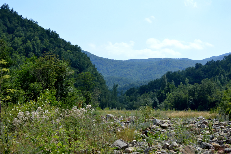 07.2015: Gianni - bardi (pr)