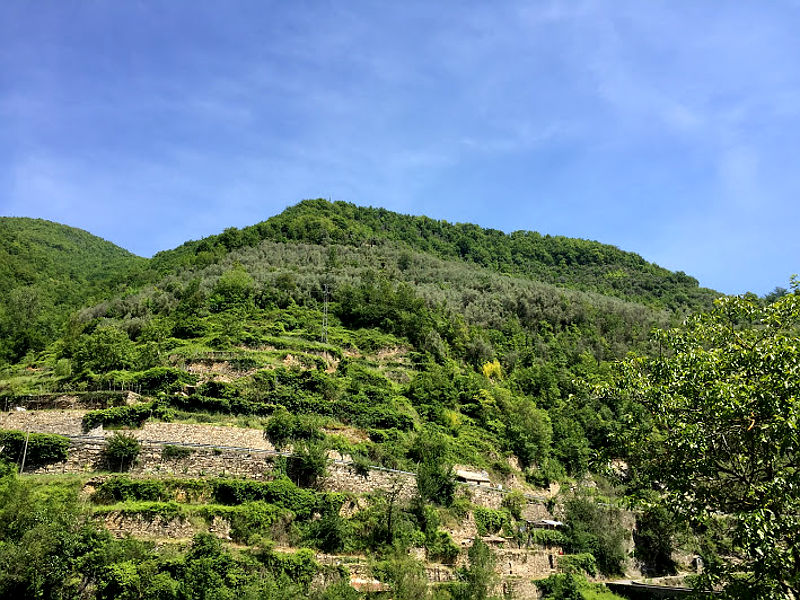 06.2016: Marina Daprelā - aquila d'arroscia (im)